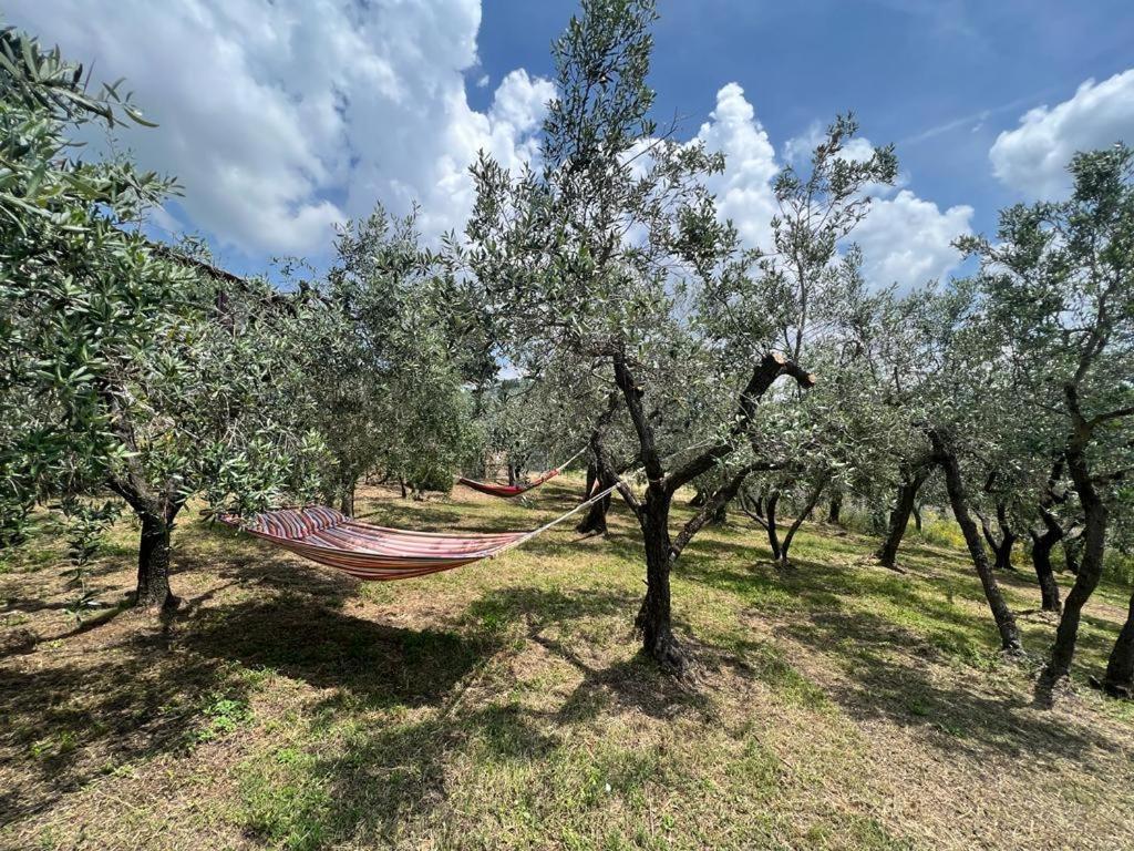 Casa Della Noce Bed & Breakfast Vinci Eksteriør bilde